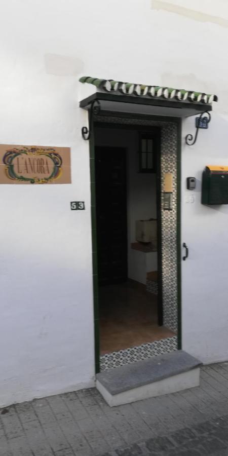 Vista De Pajaro